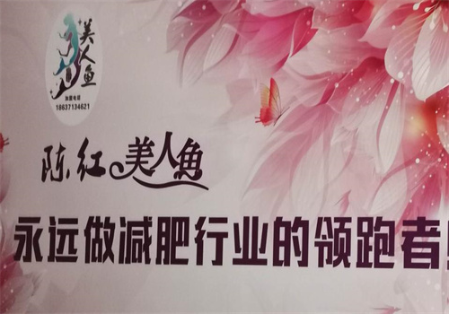 陳紅美人魚減肥加盟