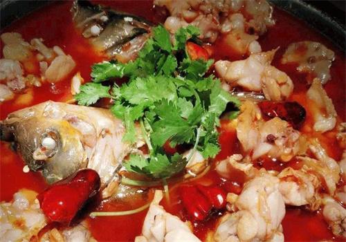 蛙兩只美蛙魚(yú)頭火鍋加盟