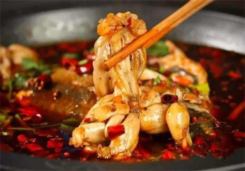 蛙兩只美蛙魚(yú)頭火鍋加盟