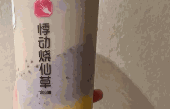 悸動(dòng)燒仙草