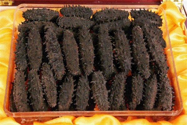 富漁島大連海參加盟