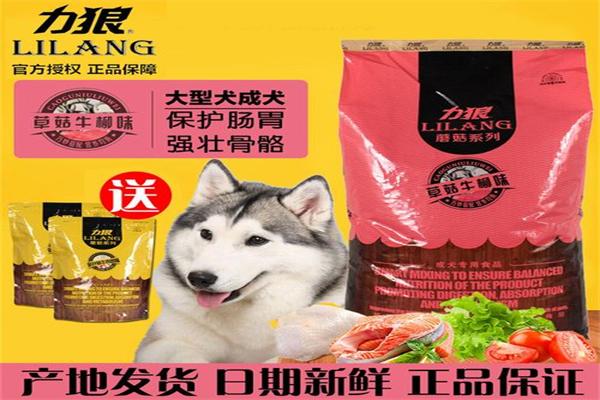 力狼狗糧加盟