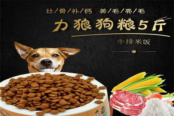 力狼狗糧加盟