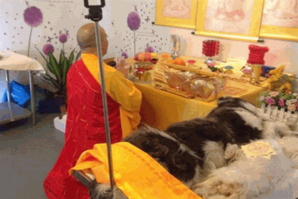 思慕寵物殯葬