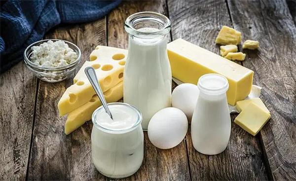乳品代理費用多少錢？