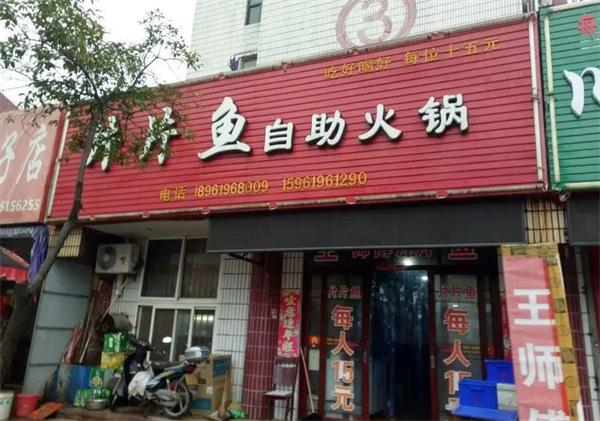 趙衛(wèi)彬片片魚