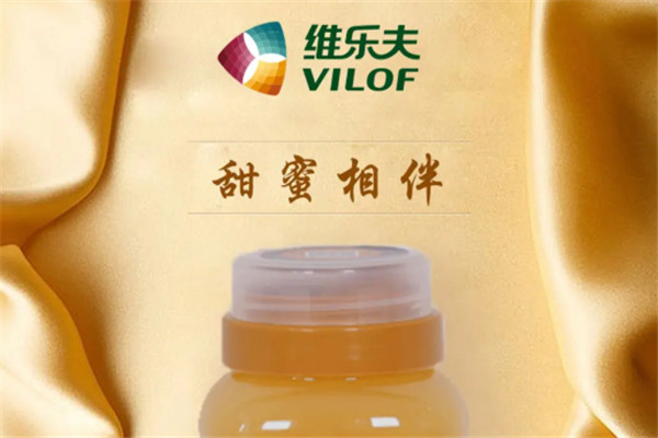 維樂夫菊苣加盟