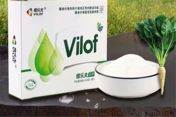 維樂夫菊苣加盟