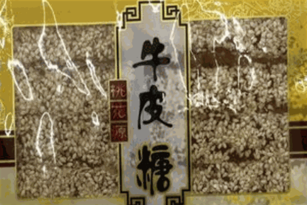 桃花源零食加盟