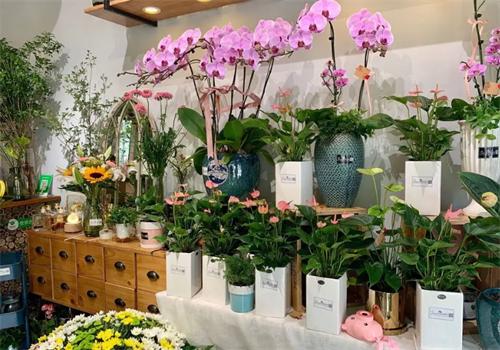 鐘愛(ài)鮮花平臺(tái)
