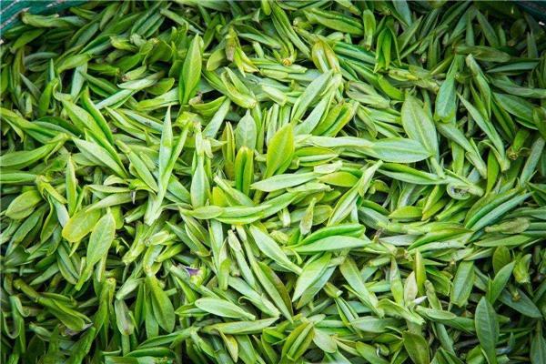 奇苑茶葉加盟