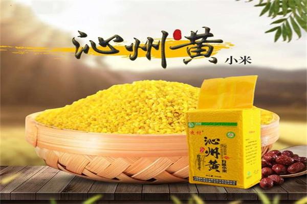 沁州黃小米加盟