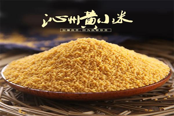 沁州黃小米加盟