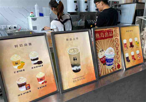 熱鳥(niǎo)茶研究所加盟