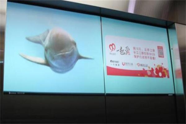 梯影傳媒加盟