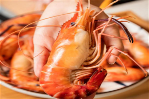 海之戀釣蝦館