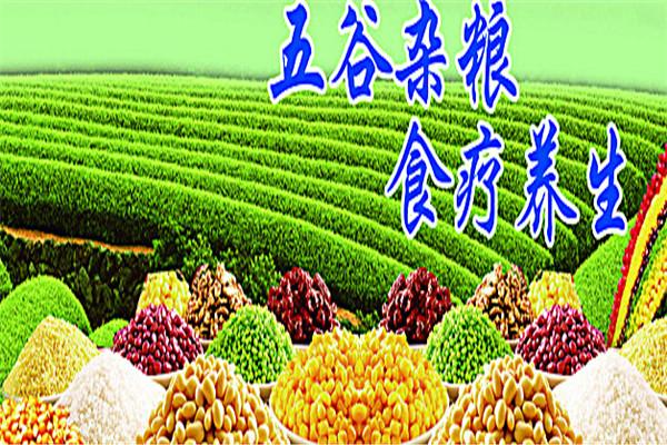 五谷現(xiàn)磨坊加盟