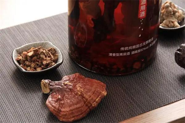 千年靈芝酒加盟