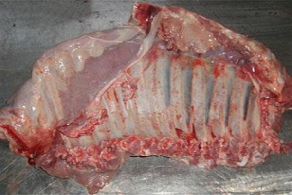 老楊頭牛羊肉