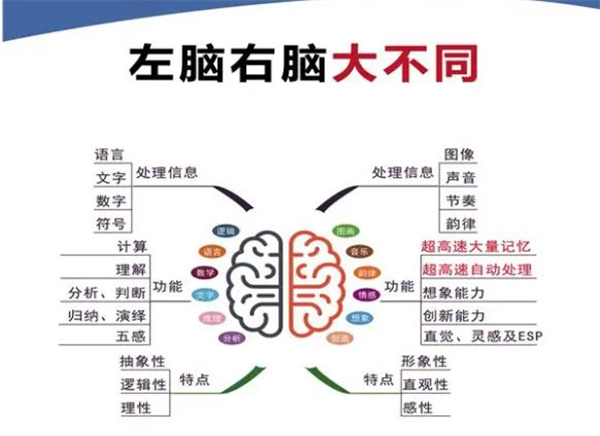 億多星全腦開發(fā)加盟 億多星全腦開發(fā)