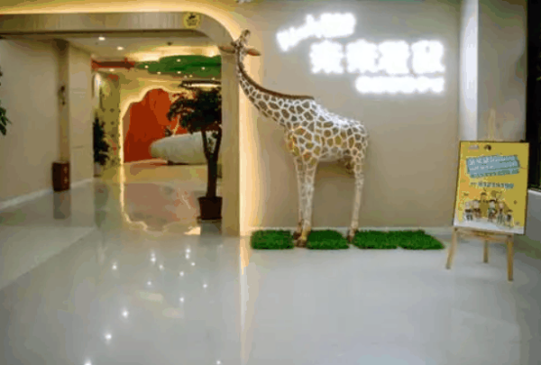 袋鼠國(guó)際兒童成長(zhǎng)中心