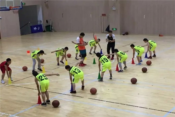 FALCONS獵鷹籃球加盟