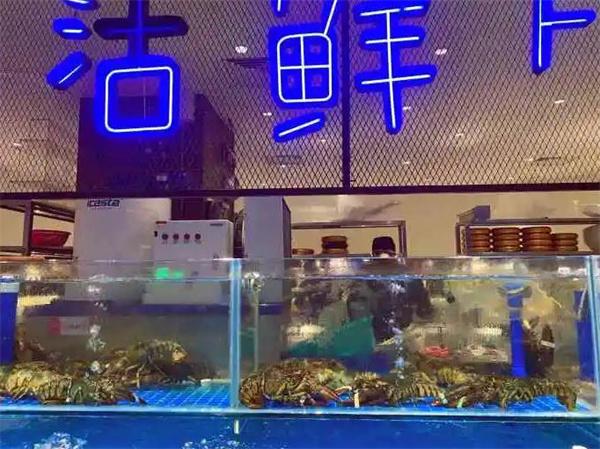 打魚(yú)撈生態(tài)活鮮自助火鍋