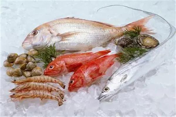 雅之食水產(chǎn)加盟