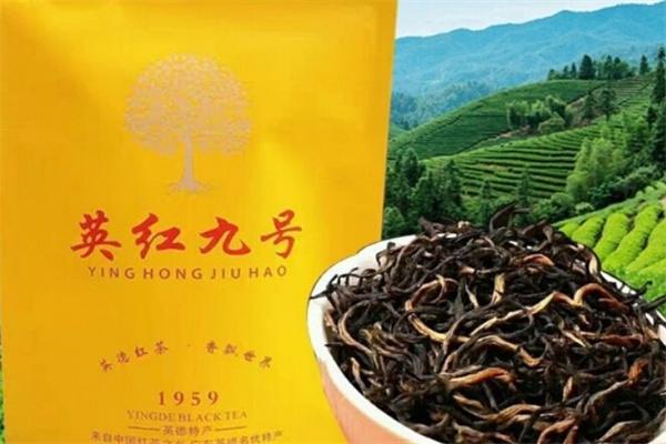 潤豐魚竿加盟