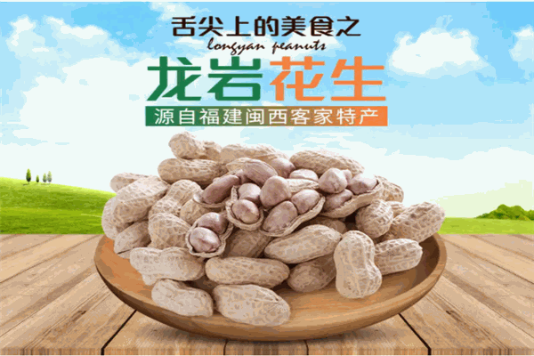 龍巖花生