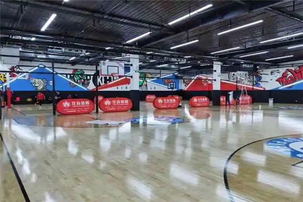 心羽籃球羽毛球訓練營加盟