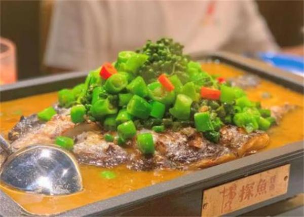 探魚(yú)