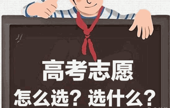 高考圈高考志愿填報(bào)咨詢