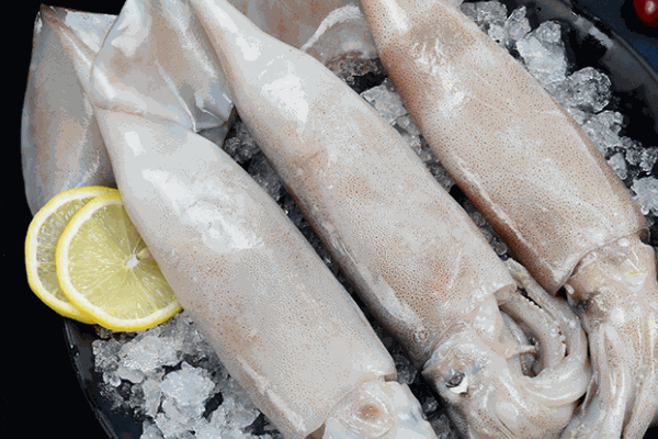 賊深海魷魚費(fèi)?