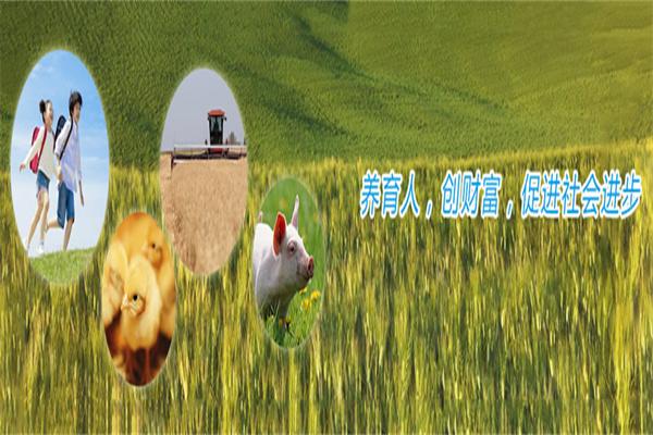 新希望六和飼料
