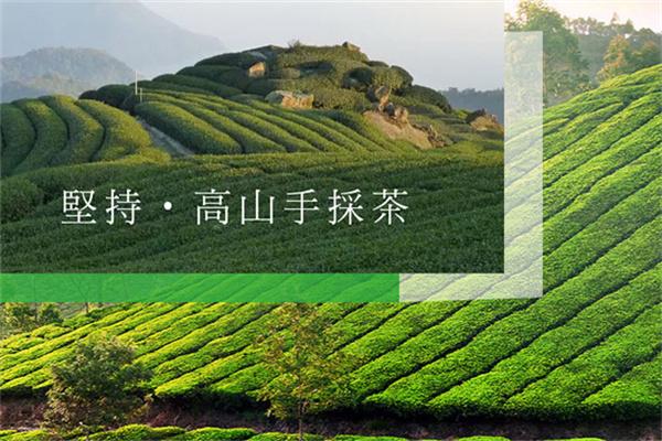 茶之夢