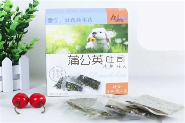 風(fēng)吹蒲公英休閑零食加盟