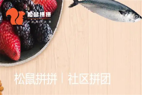 松鼠拼拼社區(qū)團(tuán)購加盟