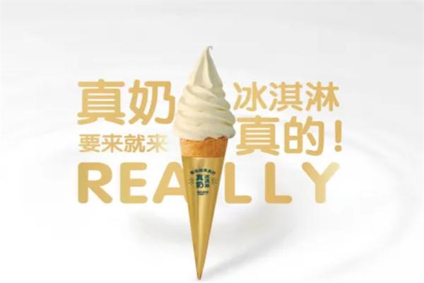 真奶冰激凌加盟