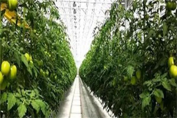融水貝江村加盟