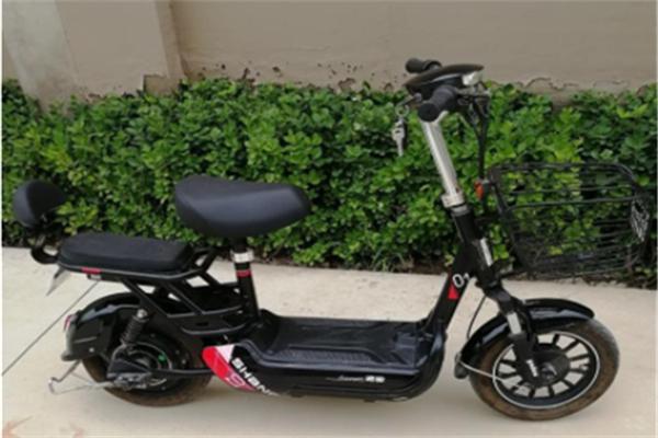 雅麗電動車加盟
