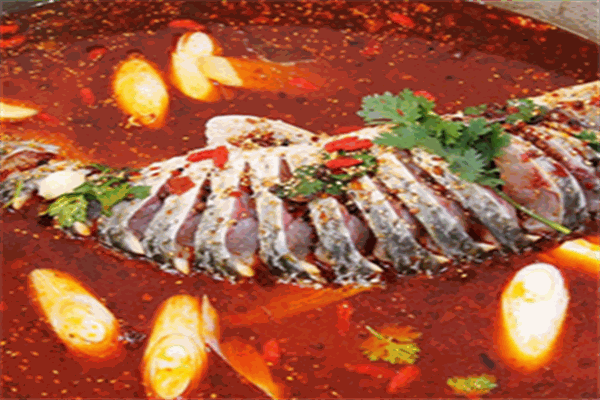 魚雞之家
