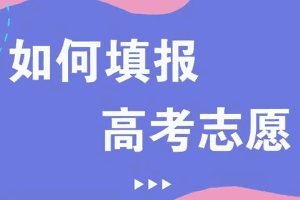 高考圈高考志愿填報咨詢