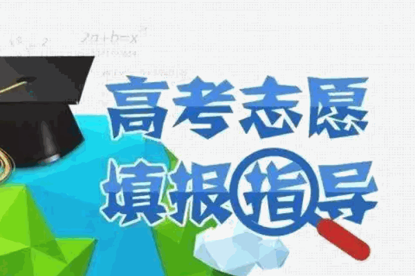高考圈高考志愿填報咨詢