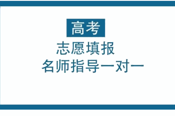 高考圈高考志愿填報咨詢