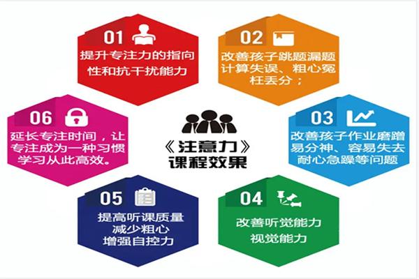 青大全腦