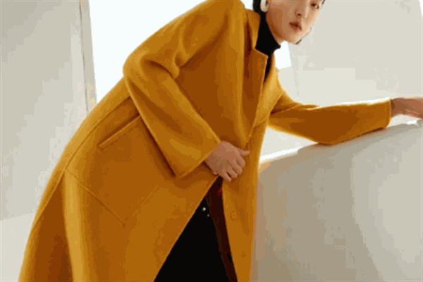 標準女裝加盟