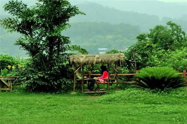 招寶生態(tài)農(nóng)莊加盟