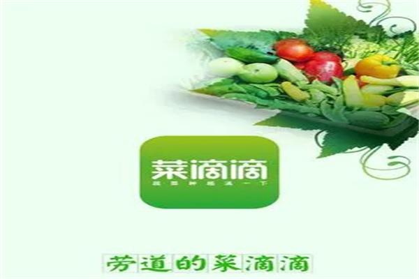 菜滴滴app加盟
