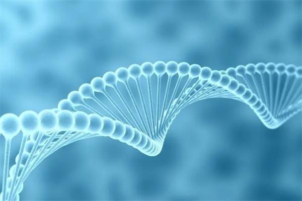 天豐華陽生物加盟